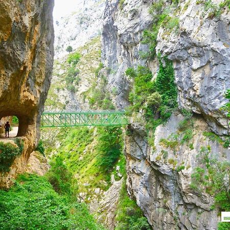 Casas Rurales De Cainゲストハウス エクステリア 写真